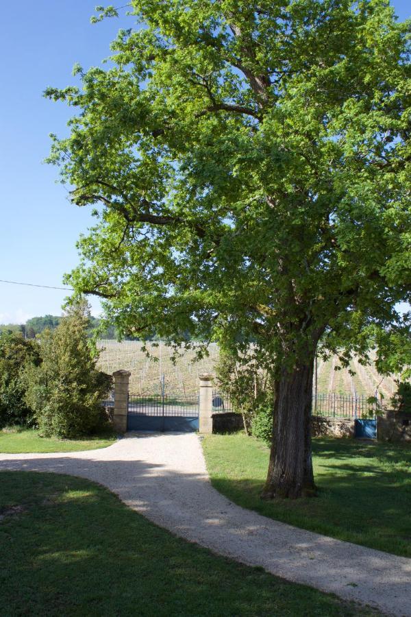 Domaine Cazenave Bed & Breakfast Budos Exterior photo